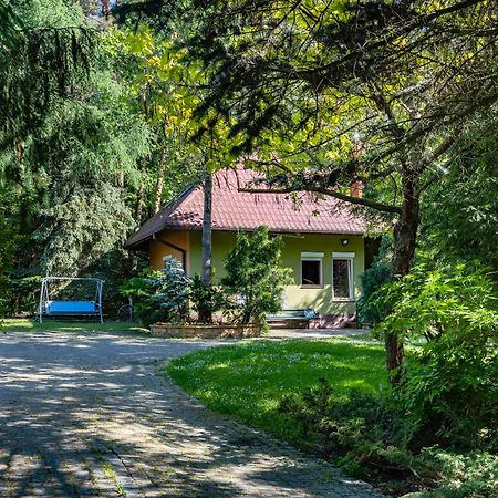 Вілла Dom Nad Stawem Rakszawa Екстер'єр фото